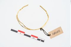 Foto von Goldspiralring (NHMW-PRAE-026088)
